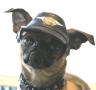 Bugsy2
