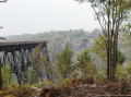 Kinzua_Bridge13
