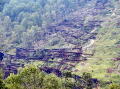 Kinzua_Bridge21