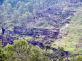 Kinzua_Bridge28