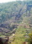 Kinzua_Bridge29