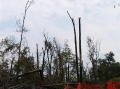 Kinzua_Bridge30